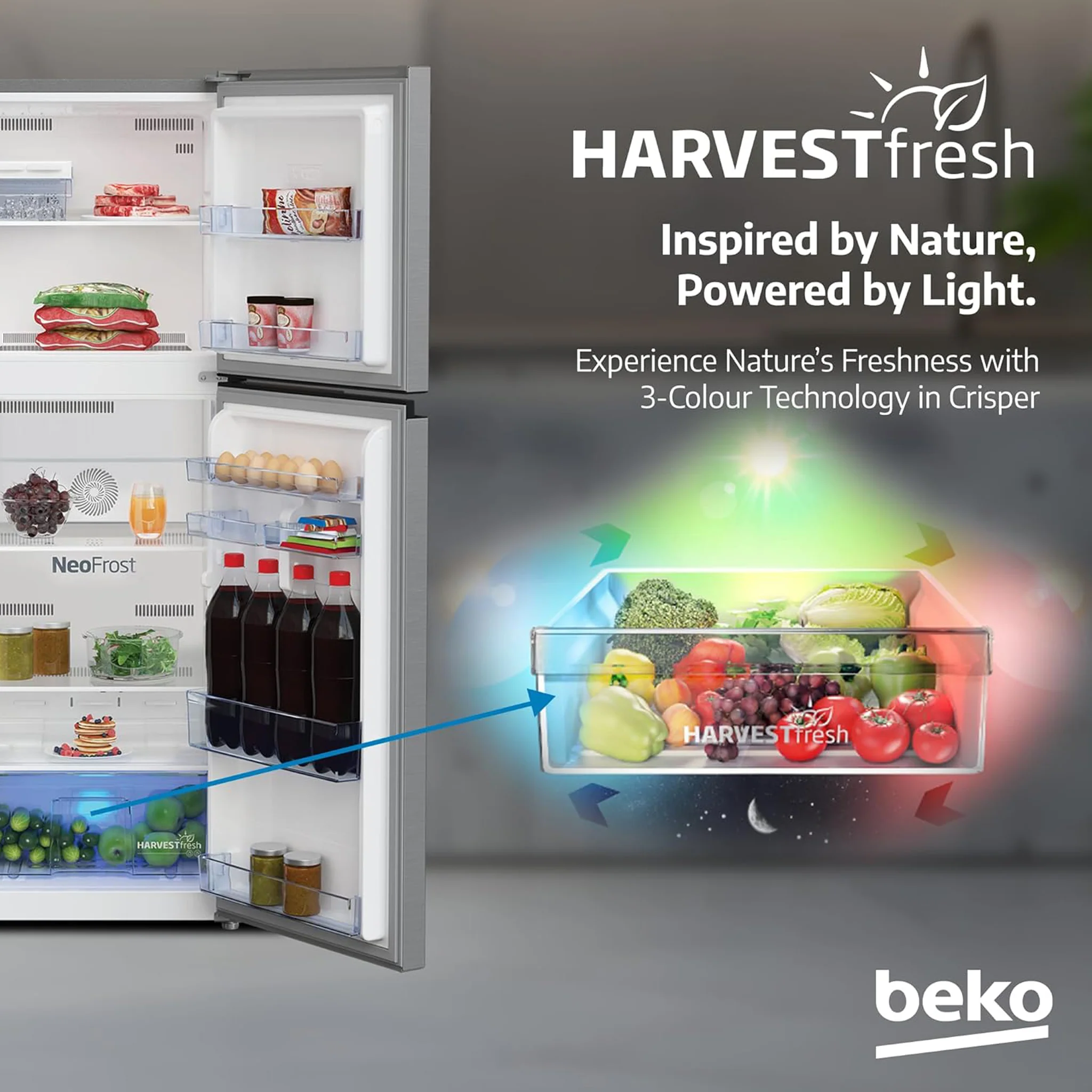 Beko 300L Top Mount Refrigerator, RDNT300XS - Image 6