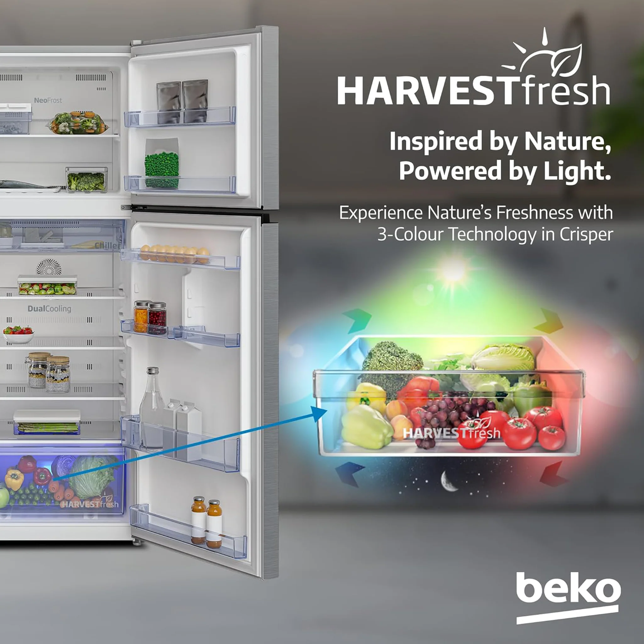 Beko 409L Double Door Refrigerator, RDNT401XS - Image 6