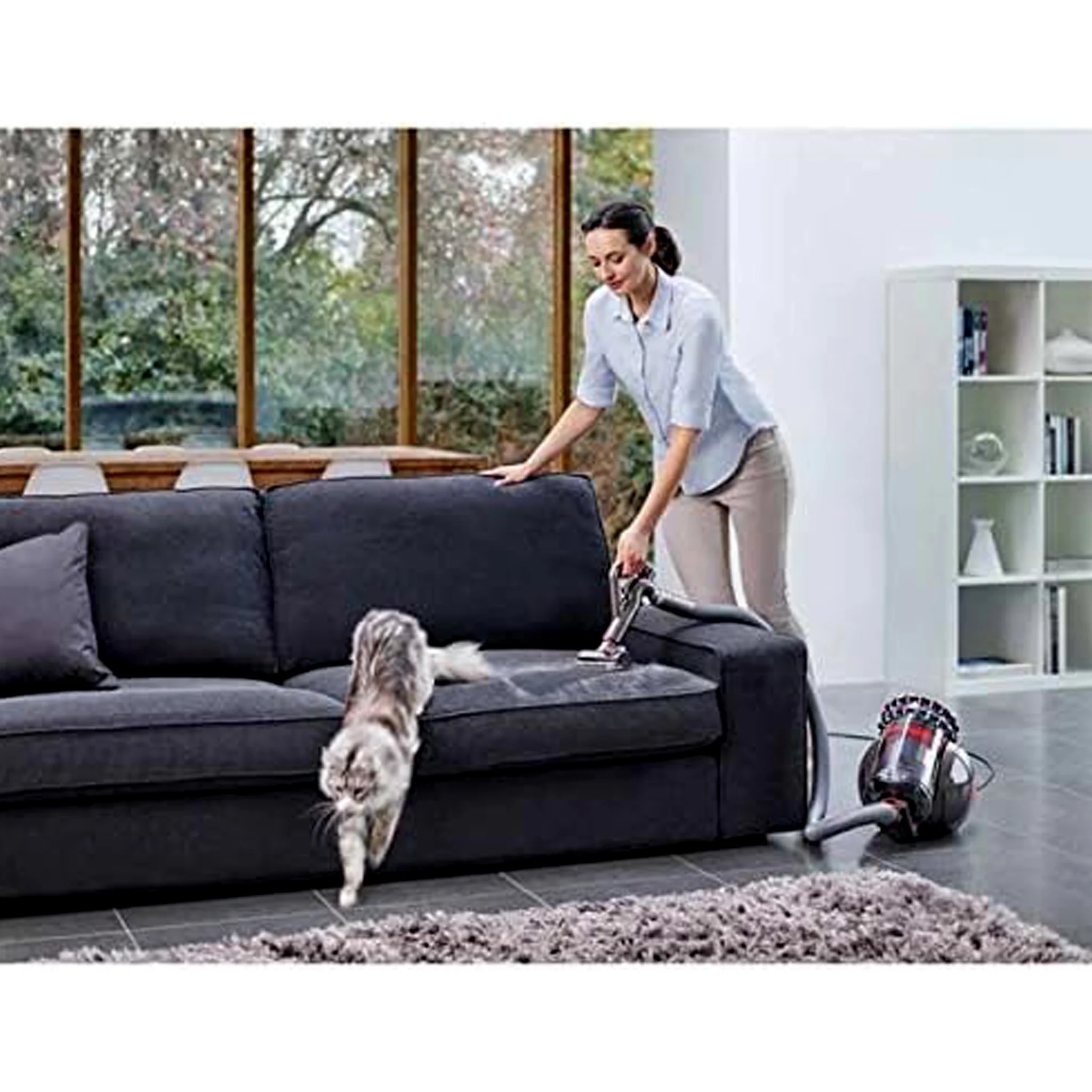 Dyson Big Ball Animal Cylinder Vacuum Cleaner - Image 5
