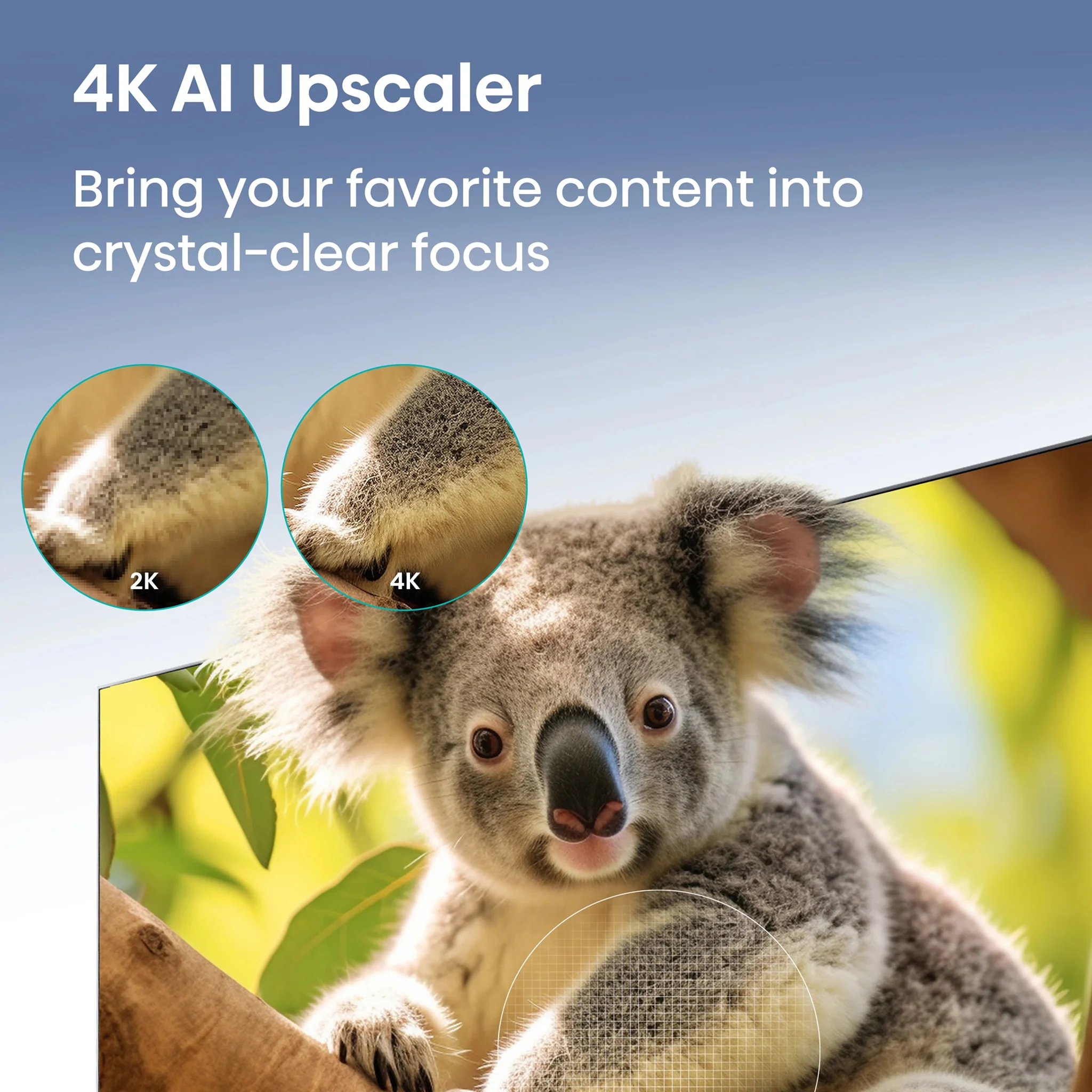 Hisense 55 inch Smart TV - 4K, 55E7K - Image 5