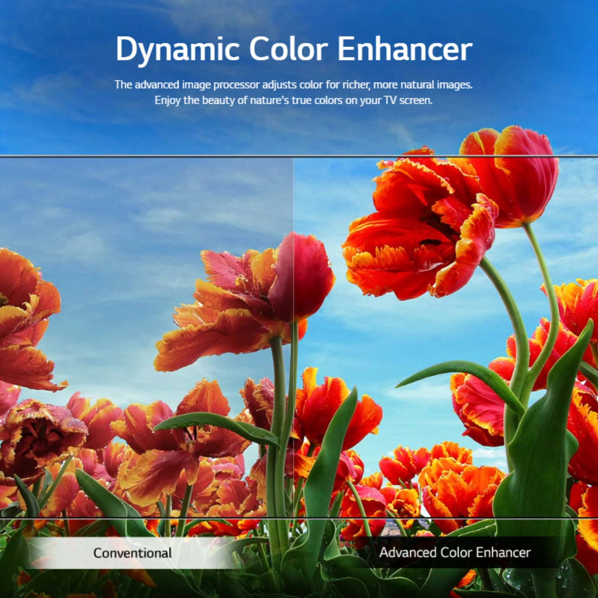 LG 43 inch Smart TV, 43LQ60 - Image 6