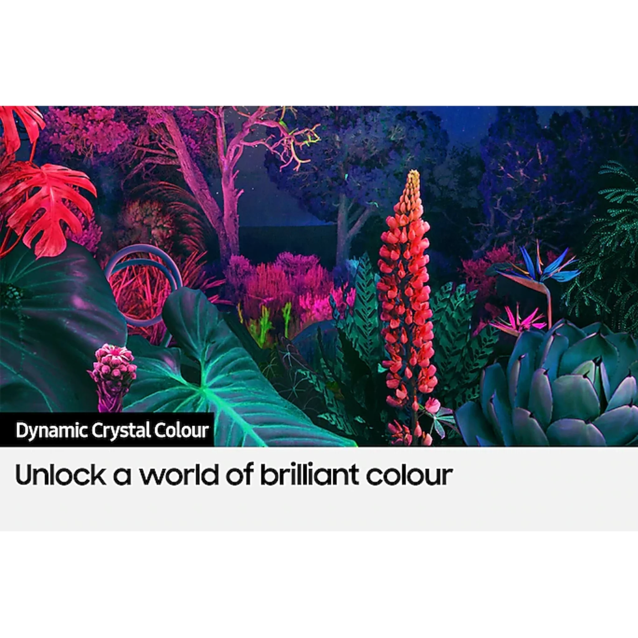 Samsung 58 inch Smart TV - 4K, 58U8000F - Image 8