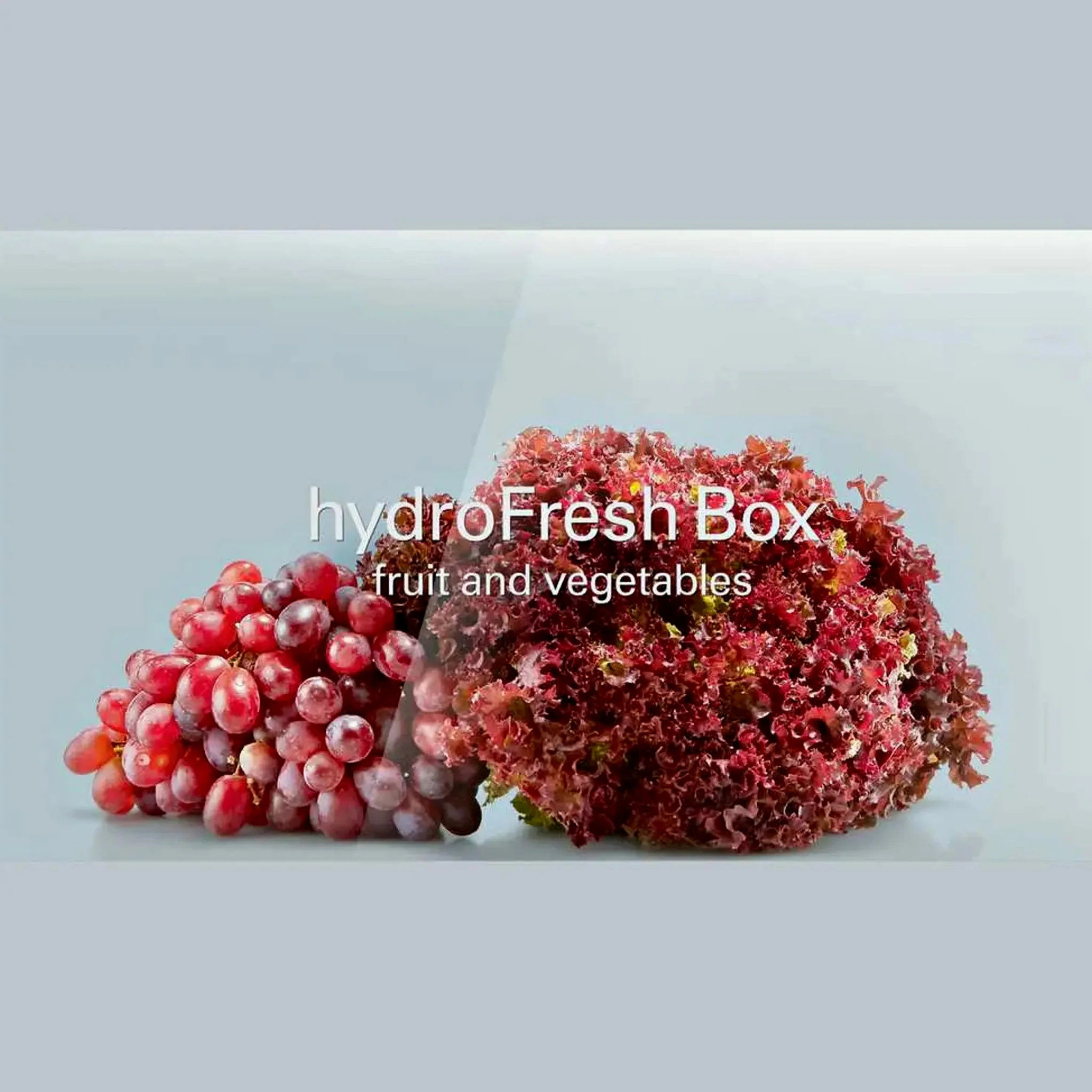 Siemens 321L IQ500 Built-In Refrigerator, KI81RAF30M - Image 2