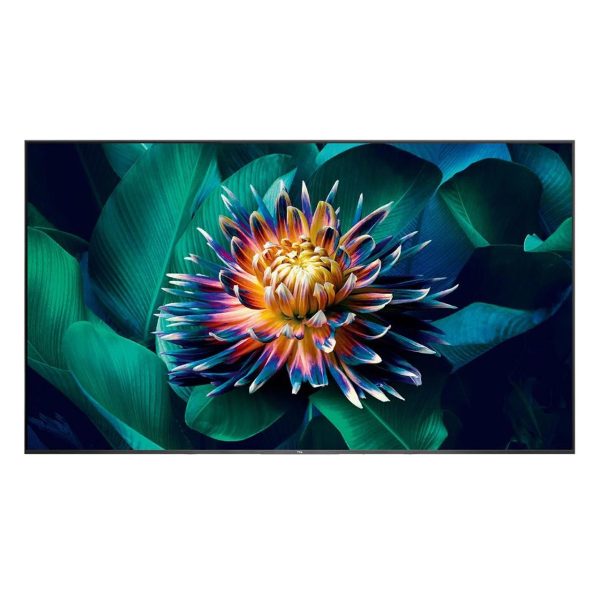 TCL 75 inch Android Smart QLED TV, 75C725