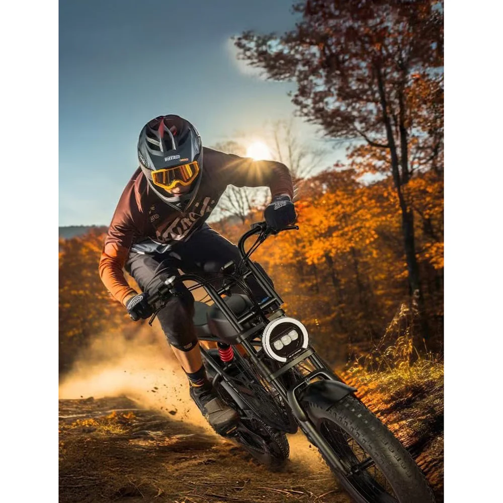 Wind Horse D5 Electric Bike, D5 - Image 10