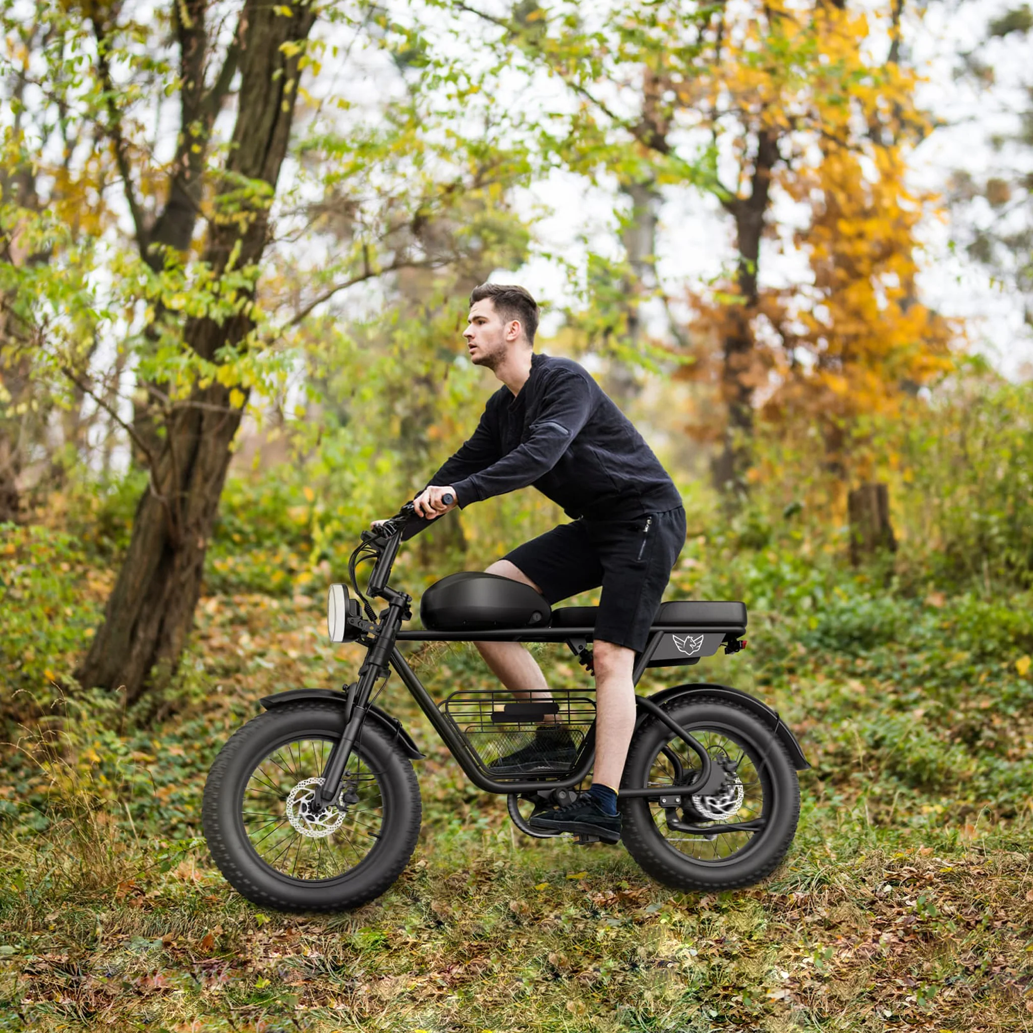 Wind Horse D5 Electric Bike, D5 - Image 3