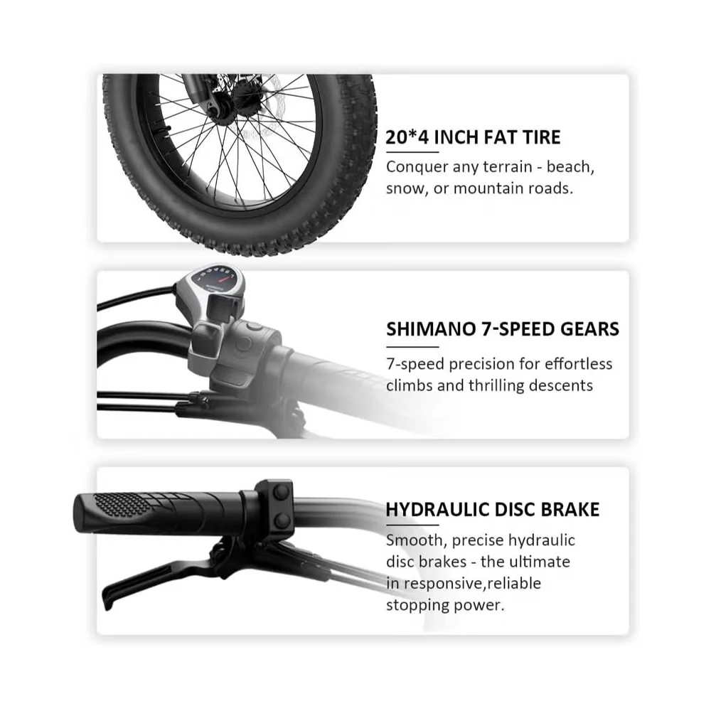 Wind Horse D5 Electric Bike, D5 - Image 9
